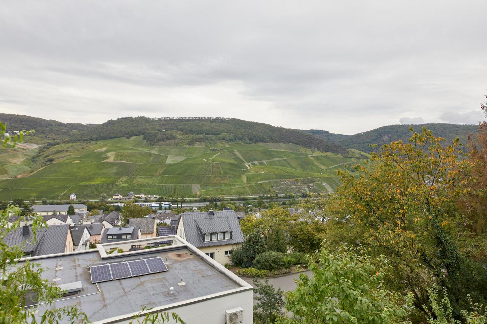 Mosel Panorama Leilighet Bernkastel-Kues Eksteriør bilde